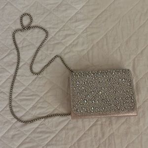 Rhinestone purse with chain from David’s bridal